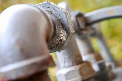 How to Know if it is Time to Replace Your Grill